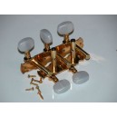 CLAVIJERO TIMPLE DORADO 143