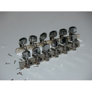 FM MMH206C. CLAVIJERO BANDURRIA