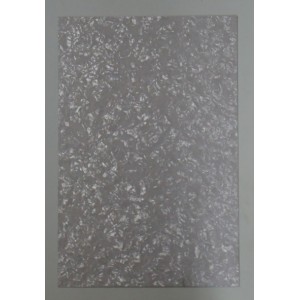 PLACA GOLPEADOR PG453PW 45x30 NACAR