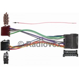 conexion carnival 2005