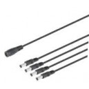 Distribuidor de alimentación 1 macho 4 hembras