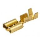 TERMINAL FASTON PAK DE 100 UNIDADES