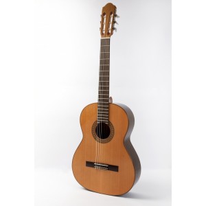 GUITARRA RAIMUNDO MOD.118