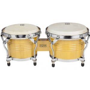 OQAN  Bongos QPP-B1 BONGO.