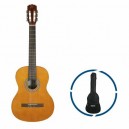 Guitarra con kit  QGC-15 GB