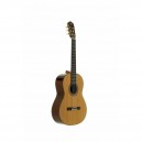 GUITARRA J. TORRES JTC-40