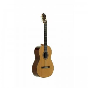GUITARRA CLASICA  J. TORRES JTC-40