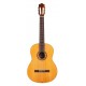 GUITARRA CORDOBA C3M