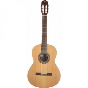 GUITARRA JTC-5S