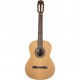 GUITARRA JTC-5S