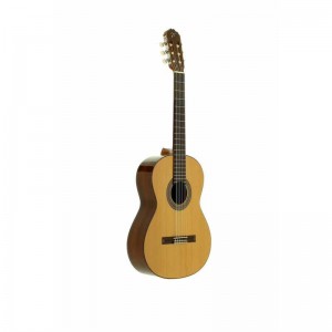 GUITARRA JTC-20
