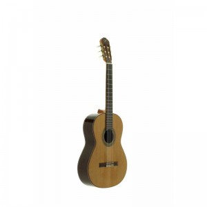 GUITARRA  JTC-30