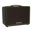 AMPLIFICADOR MGB110 MKII USB